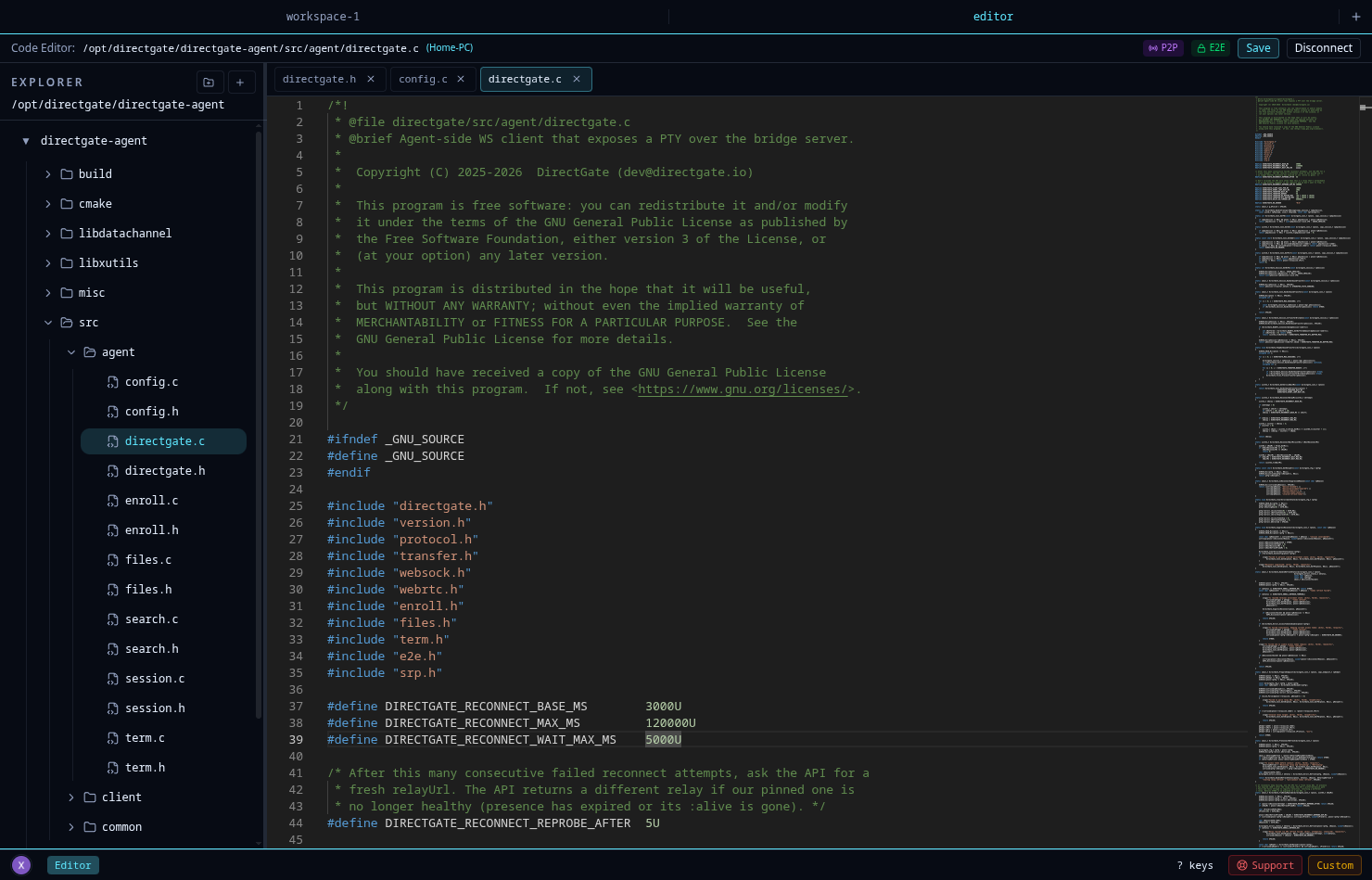 DirectGate browser code editor with file tree and P2P/E2E status badges