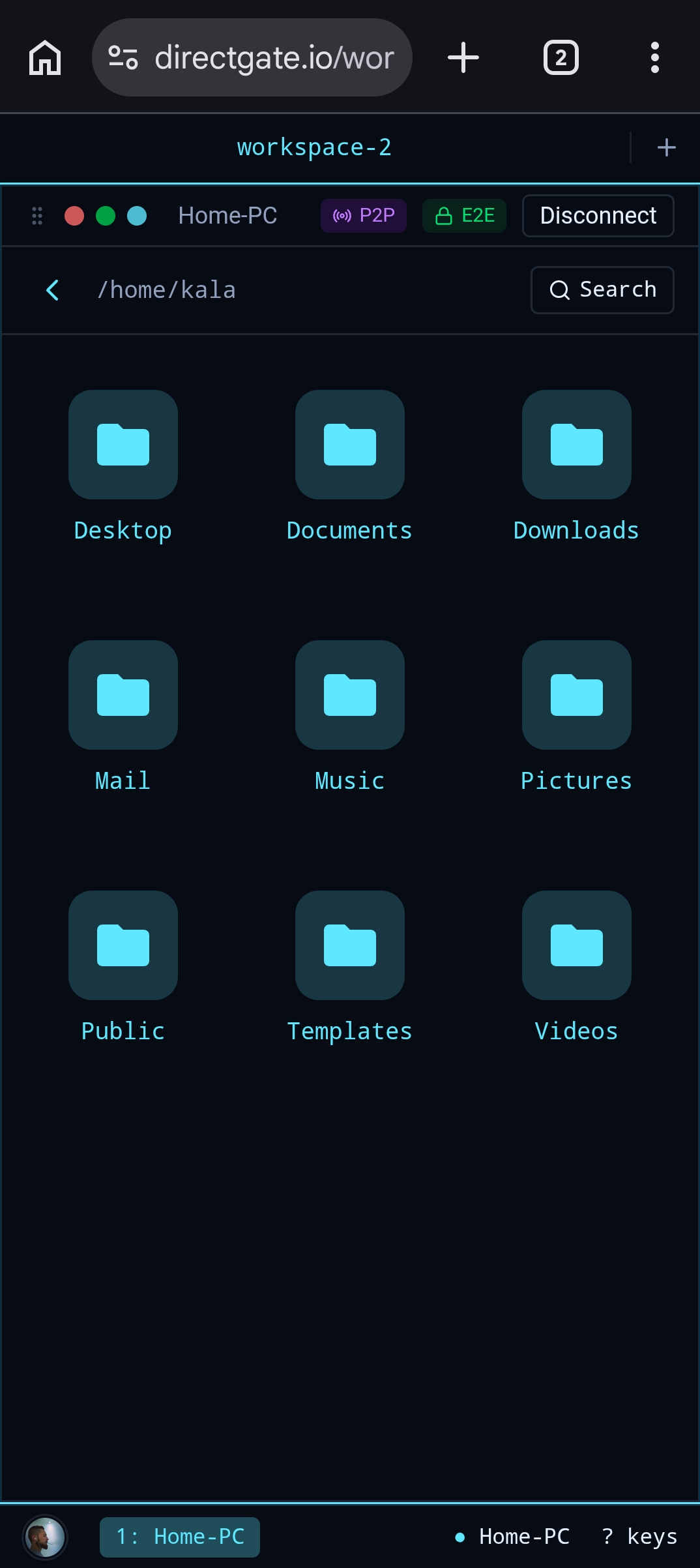 DirectGate mobile file manager showing Home-PC folders